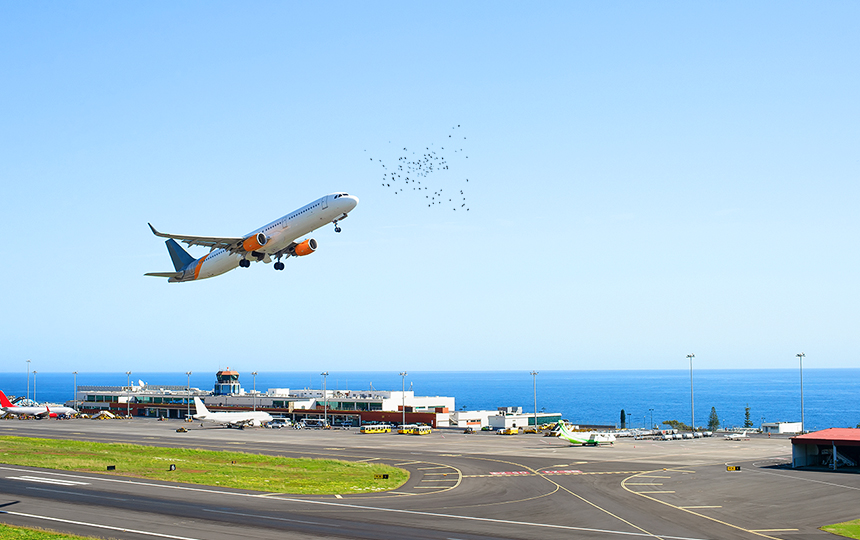 鳥情監(jiān)測與防入侵系統